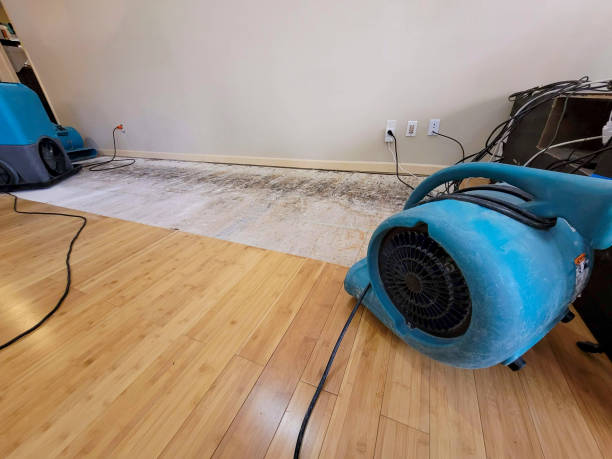 Professional Structural Drying technician working in Audubon, PA